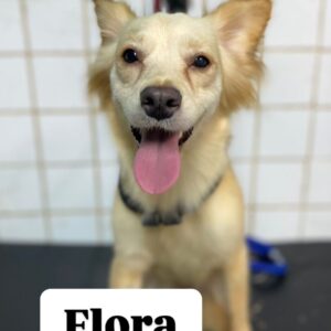Flora