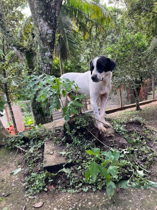 Marley - Image 2