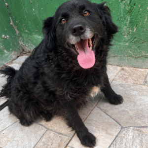 Lupita