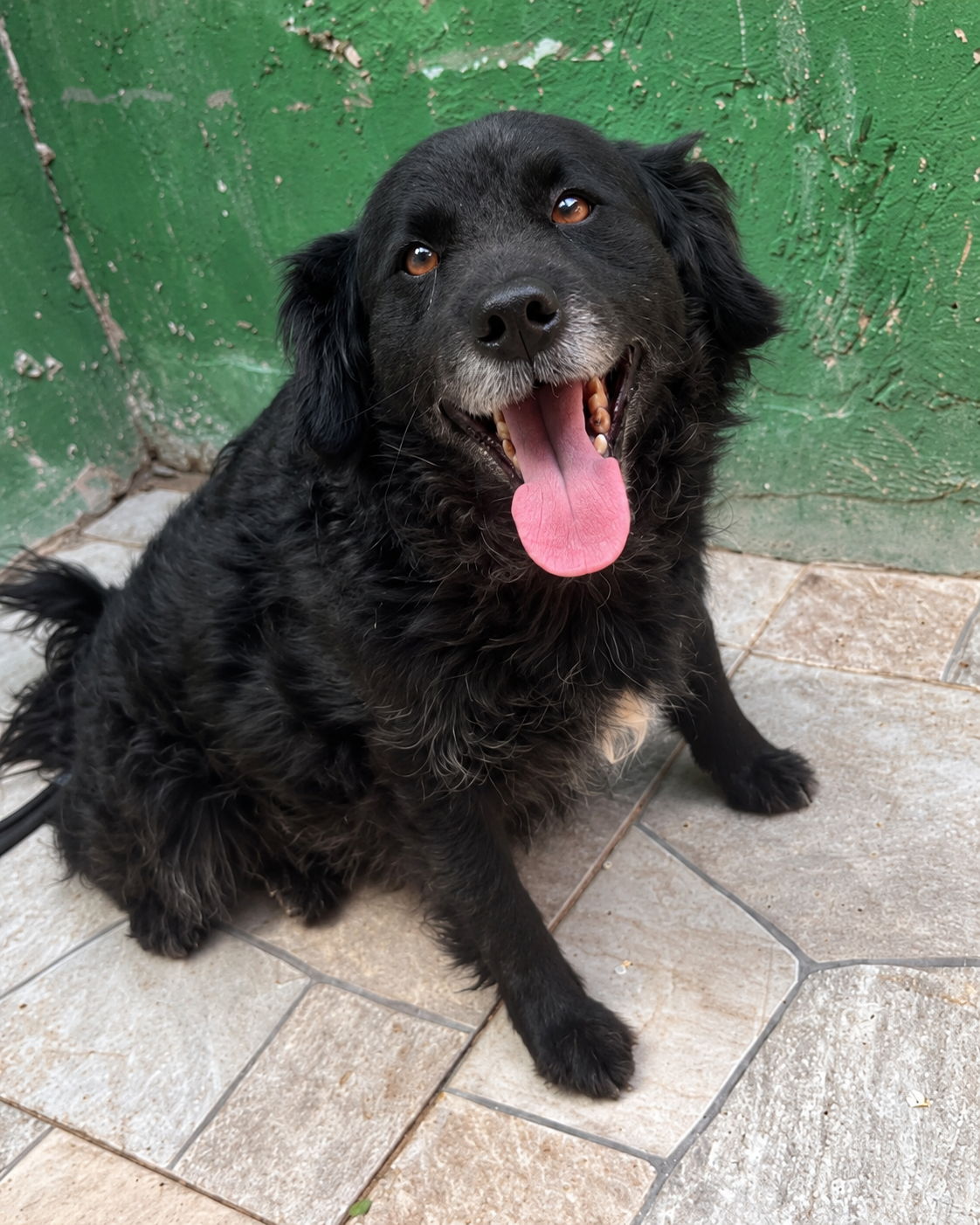 Lupita